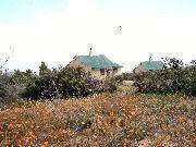 Namaqualand National park